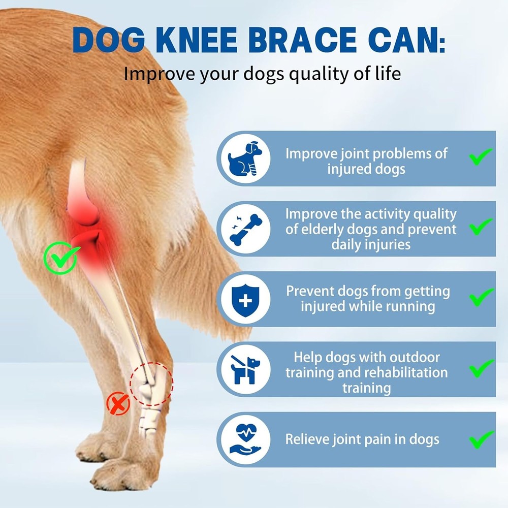 Adjustable Dog Knee Brace – Torn ACL, Joint Support, Hind/Front Legs, Size M