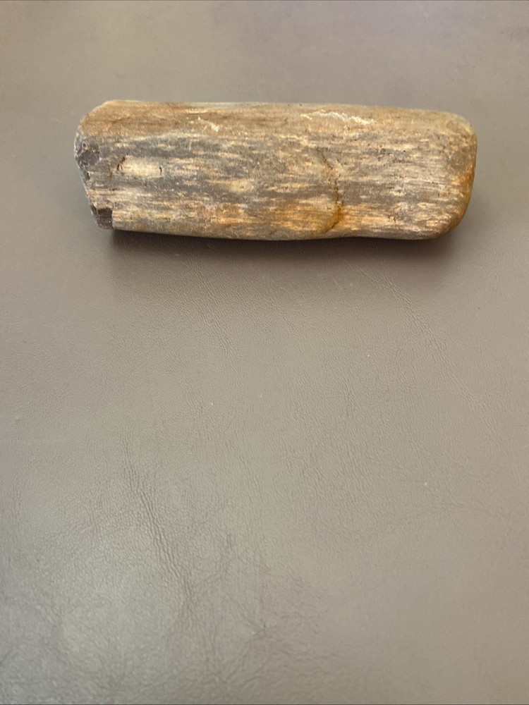 Petrified Wood