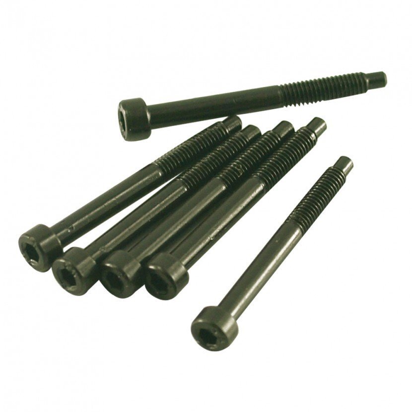 Floyd Rose String Block Set Screw Set