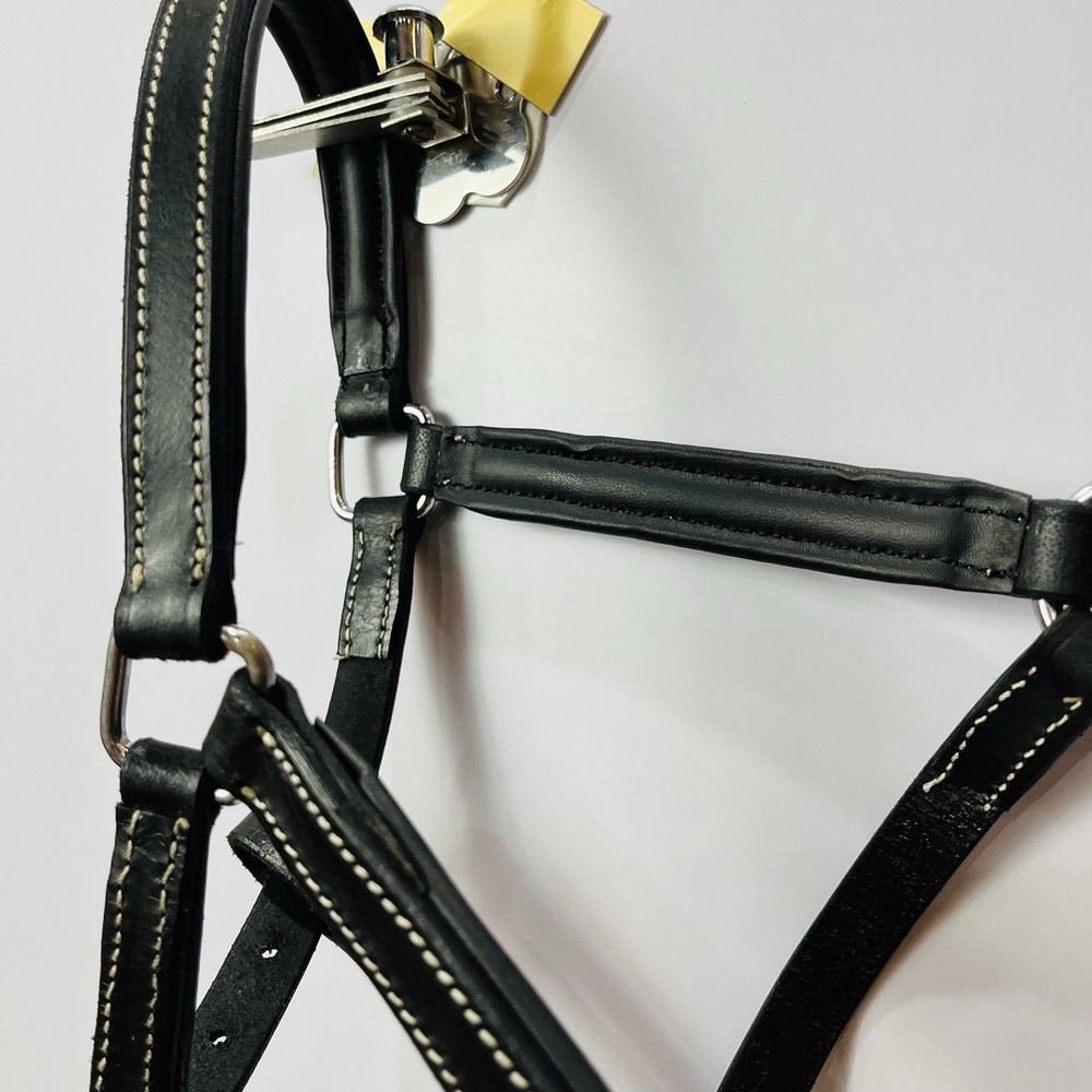 Padded Leather Horse Halter | Adjustable Equestrian Headcollar