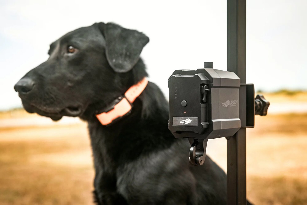 Avery Sporting Dog No-Break Safety System – High-Visibility & Durable Design