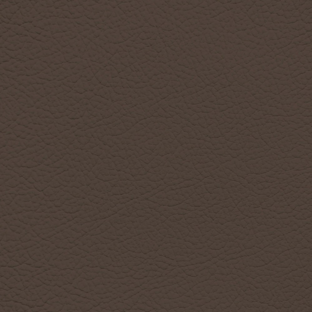 Infiniti Mocha Leather Dye