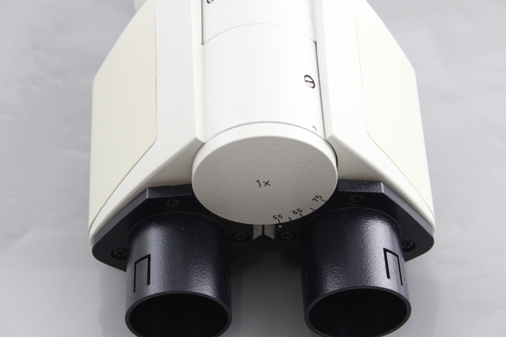 Leica Binocular Head 1x Infinity Microscope