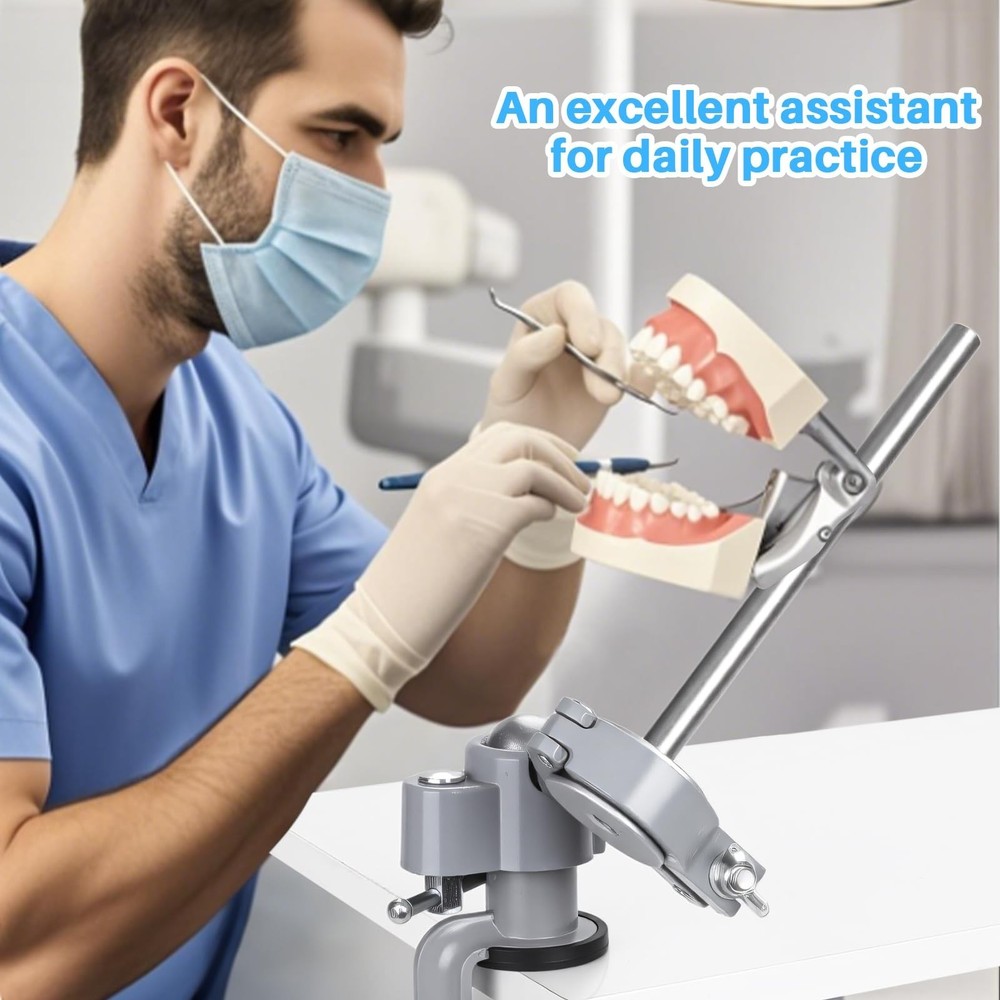 Typodont Teeth Model Mount, Pole Teeth Model Training Mount Fixed on Desk Tra...