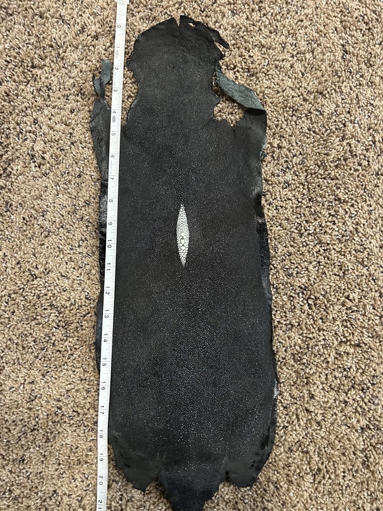 Stingray Hide