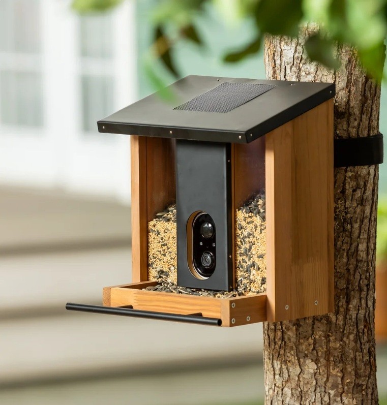 Bird Feeder with Solar Powered Wi-Fi Camera