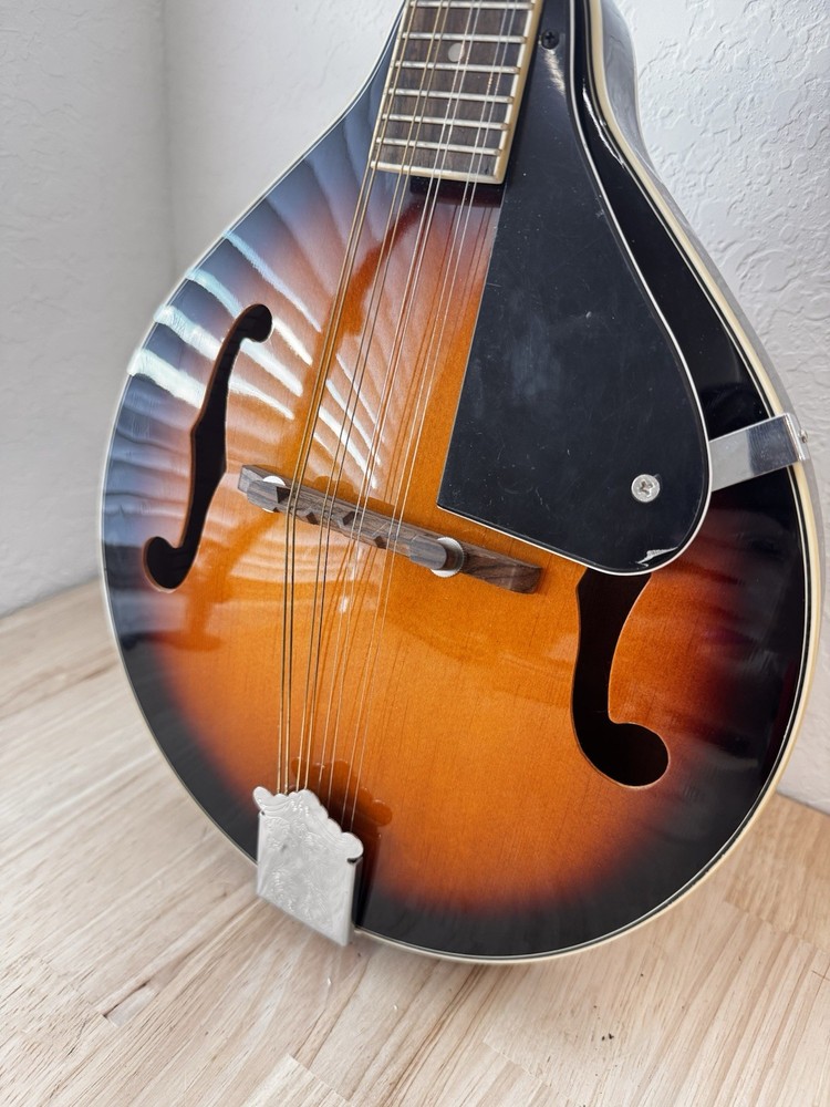 Fender FM-100 8-String Mandolin Sunburst Soft Case + Tuner + Strap + Book + More