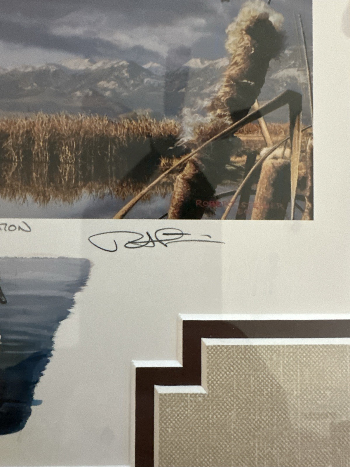 1999 Oregon - State Duck Stamp Print ROBERT STEINER Governors Edition 38/125