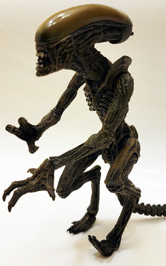 Alien VS Predator Posable Alien Figure 7” Action Figure