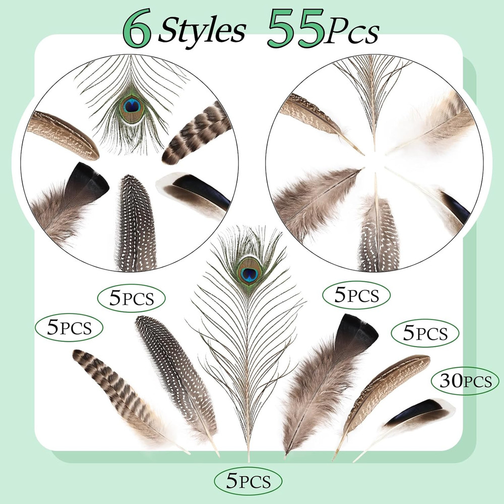 Natural Feathers Bulk - 55PCS - 6 Styles Assorted Natural Feathers, Peacock Feat