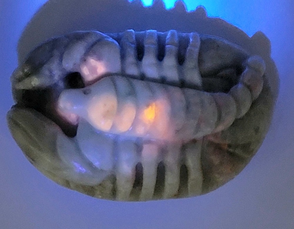 Hackmanite Scorpion Carving- UV Reactive- WYSIWYG