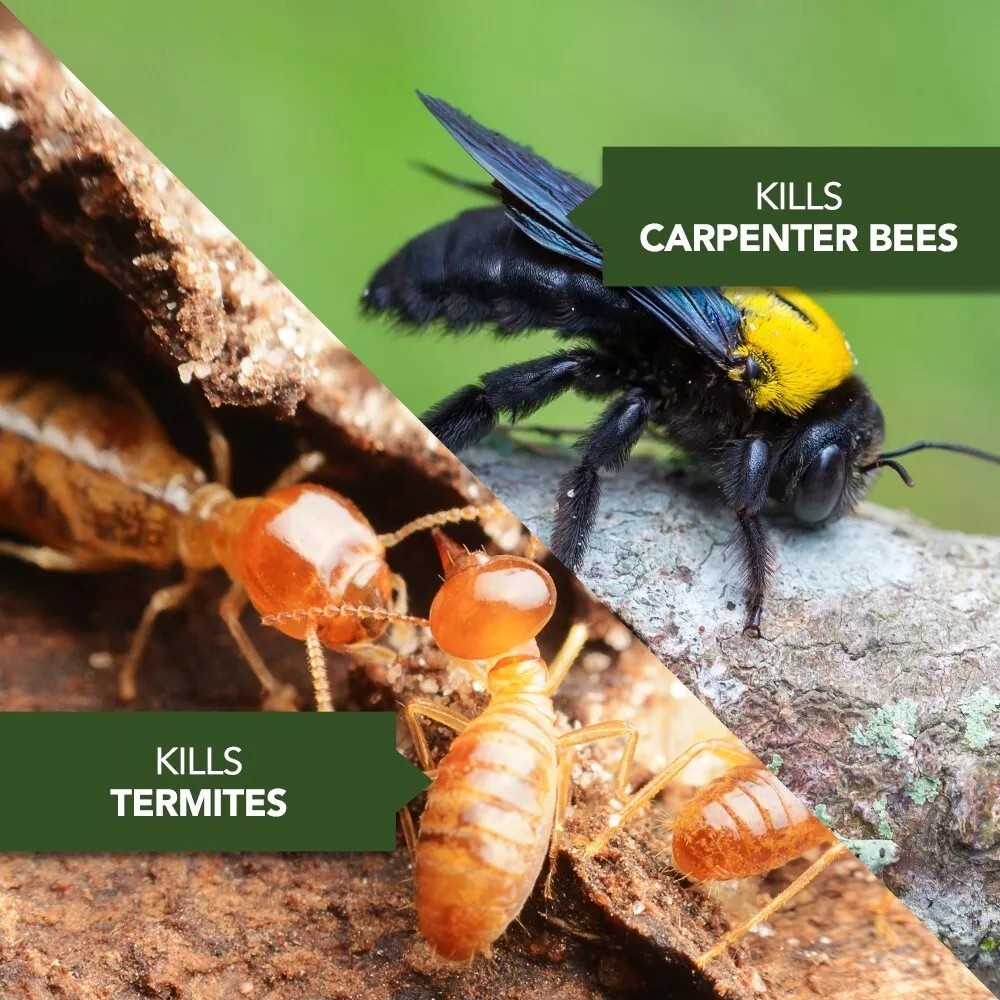 BioAdvanced Carpenter Ant & Termite Killer Plus, Concentrate, 40 Oz - NEW