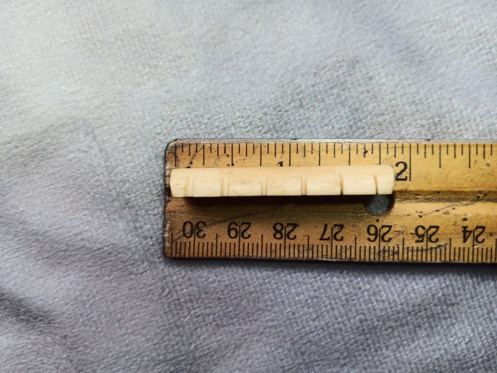 Vintage unbranded bone guitar nut, white