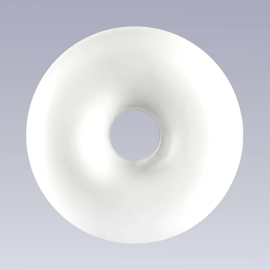 Pessary Donut Bioteque America