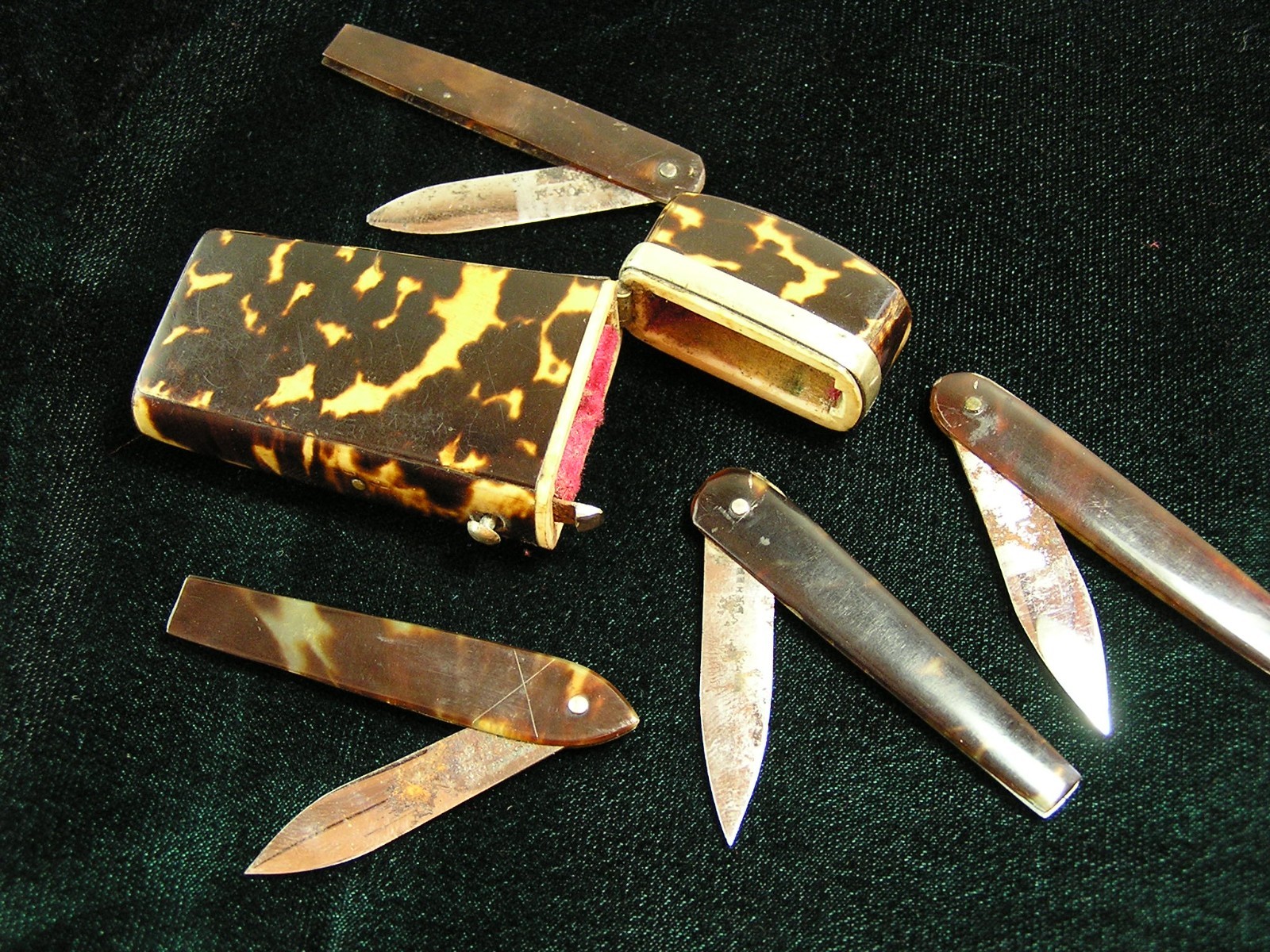 Faux Tortoiseshell Lancet Case, Bloodletting