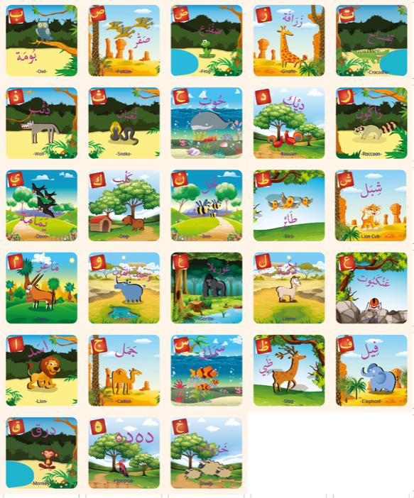 arabic flash card Small - Two Sets - Laminated Flash Cards