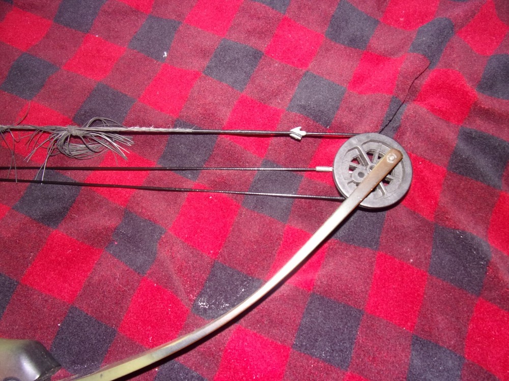 Darton WH300 Compound Bow