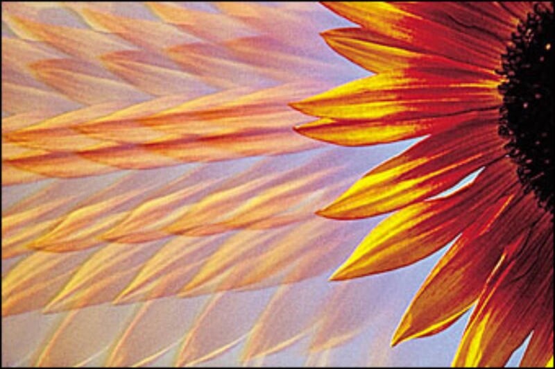 Cokin Multi Image Parallel A 209 Filter