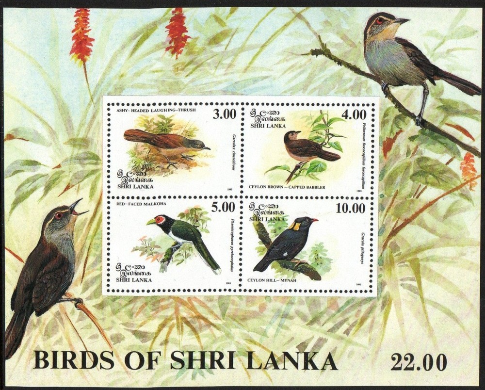 Sri Lanka Stamp 1082a  - Birds