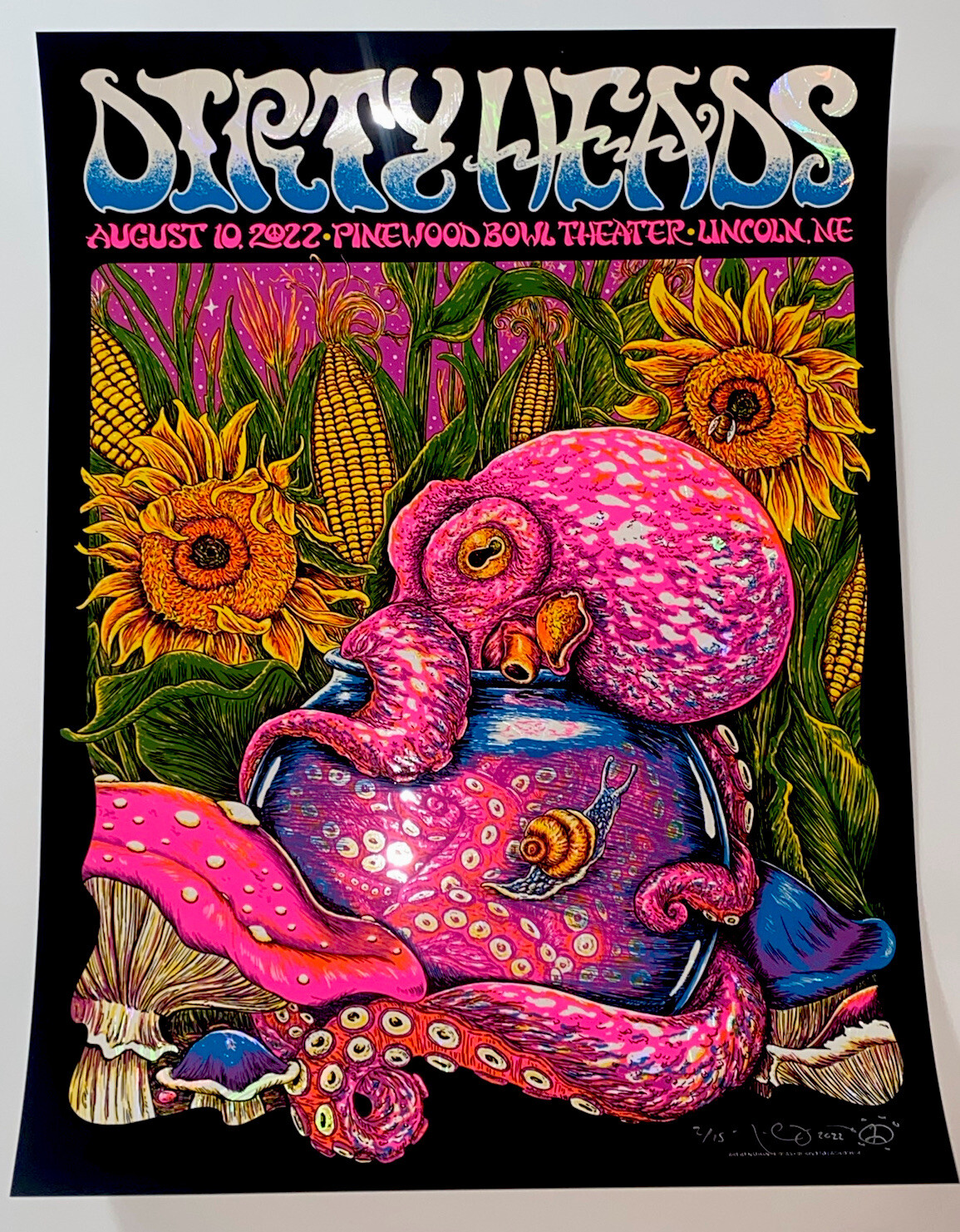 Dirty Heads Poster Lincoln NE 8/10/22 Silkscreen White Swirl Foil S/N Official