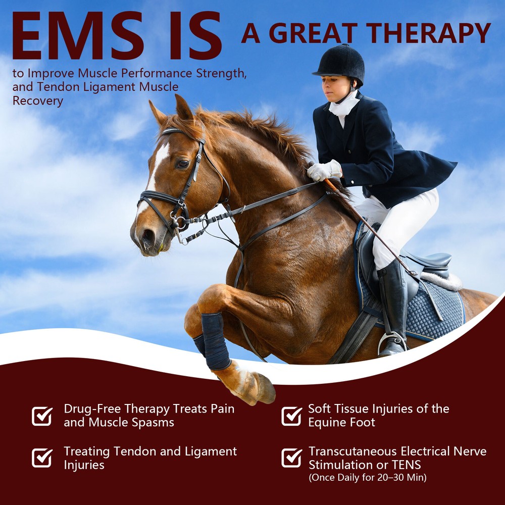 Equine Cold Red Light Therapy Pain Relief Device Sore Muscles & Joints Issues