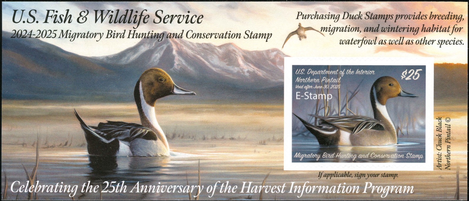 RW91B 2024 -  E  STAMP  Federal Duck Stamp  Similar to RW91A SCARCE MINT NH