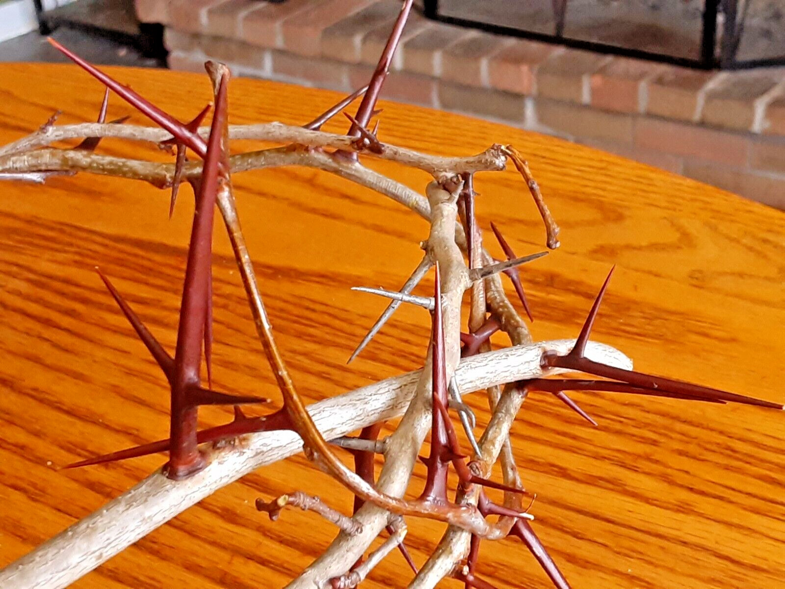 REAL Handmade Jesus Crown of Thorns - Lent, Good Friday, Passiontide, Easter