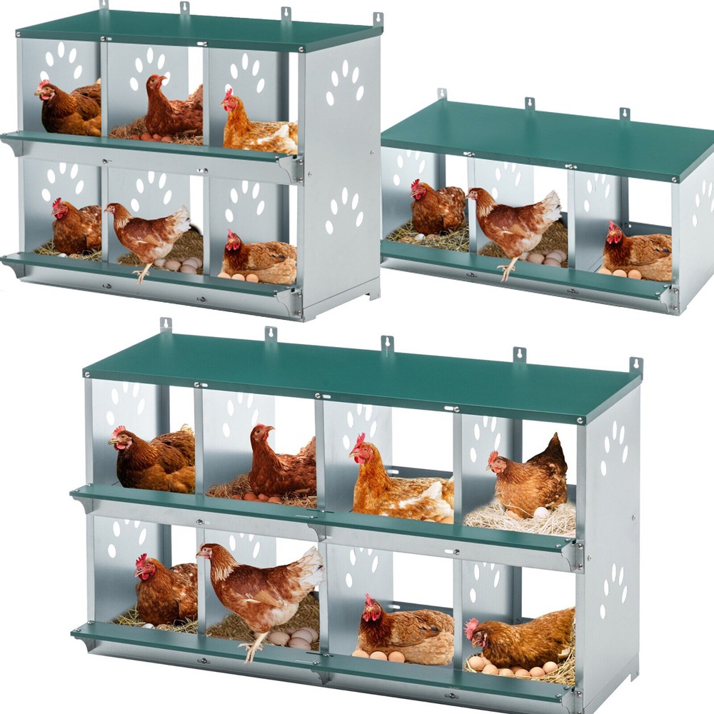 3/ 8 Compartment Chicken Nesting Boxes,For Laying Eggs, Metal Poultry Nest Box