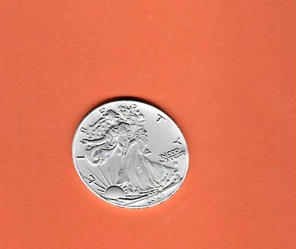 2024 AMERICAN EAGLE (READ DESCRIPTION)