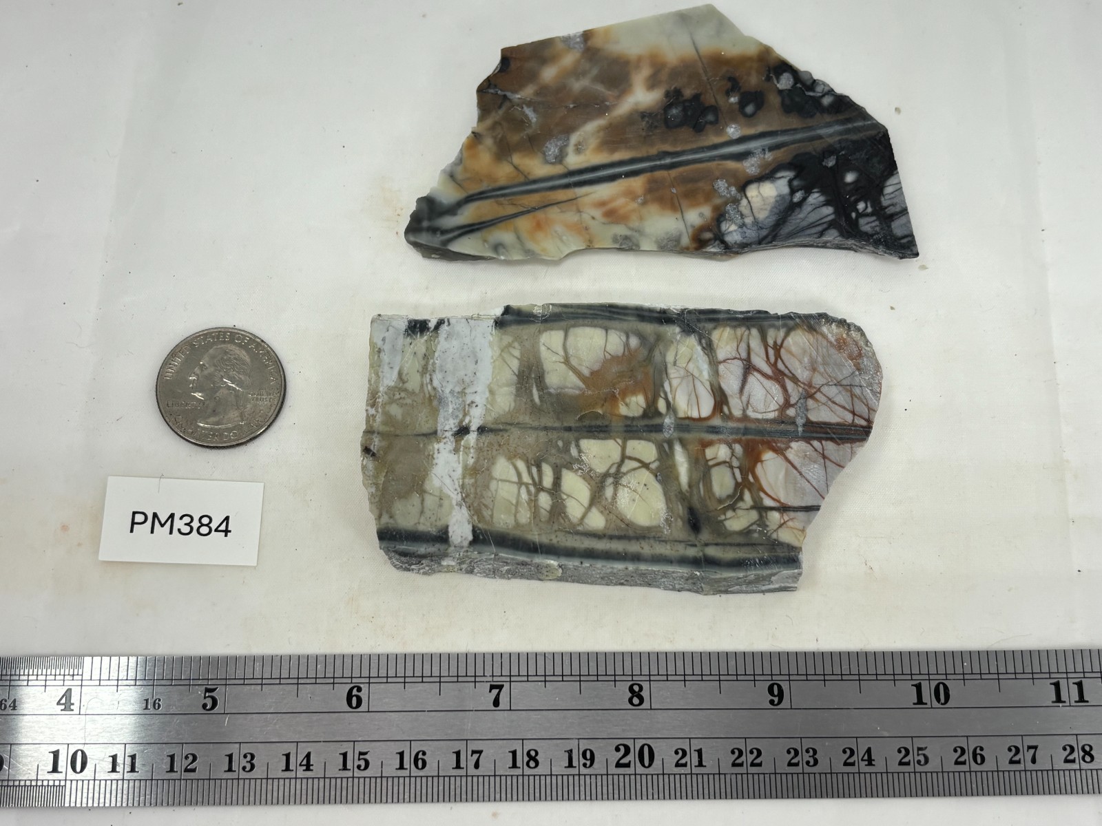 Picasso Marble (Jasper) Slabs Cabbing Lapidary Utah Combo Ship Avail