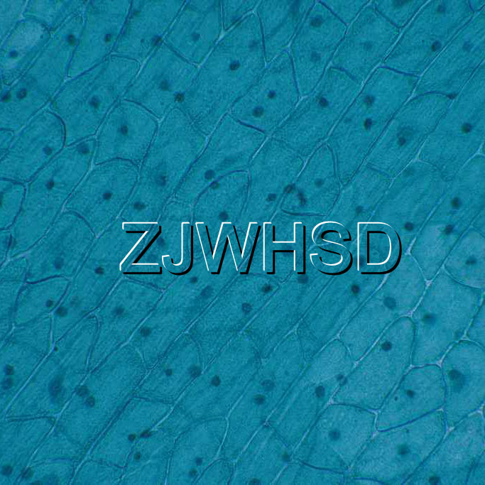 100pcs Glass Prepared Basic Science Microscope Slides Sample Biology Pathology