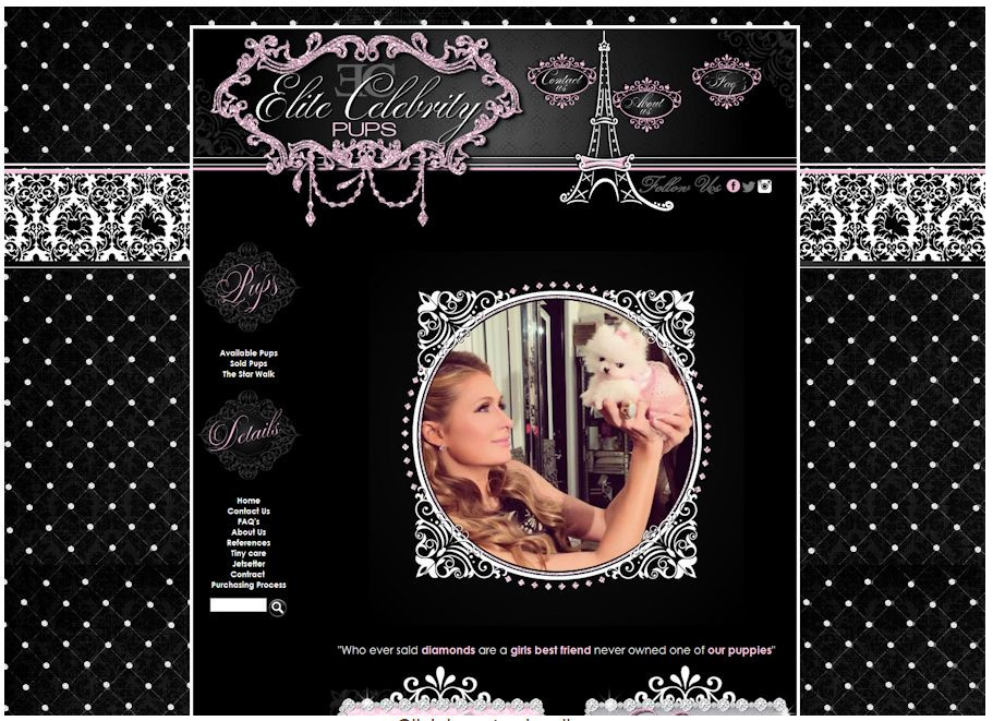 Custom Website design (made to order) Examples attached