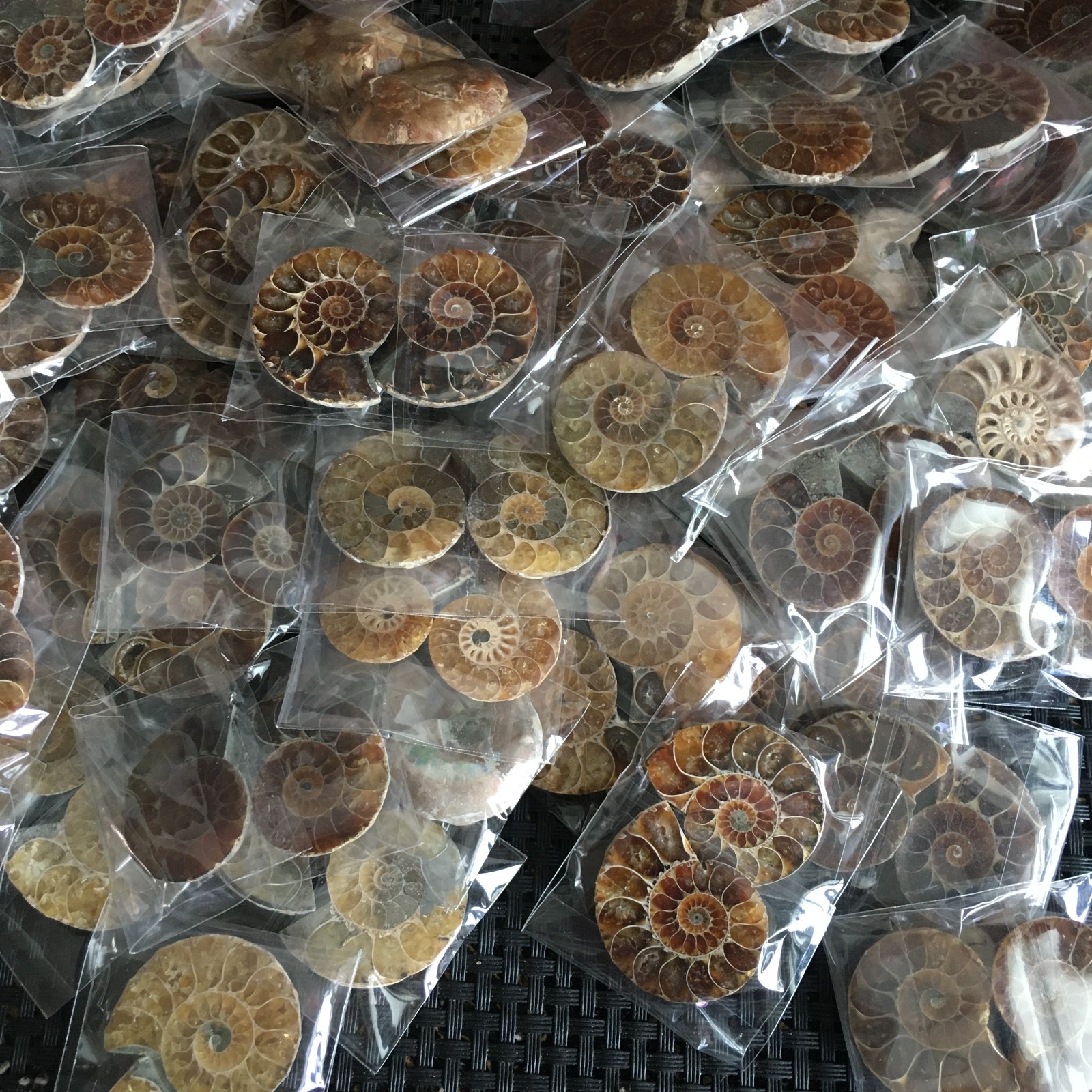 50 pair of Split Ammonite Specimen Shell Healing Madagascar 02