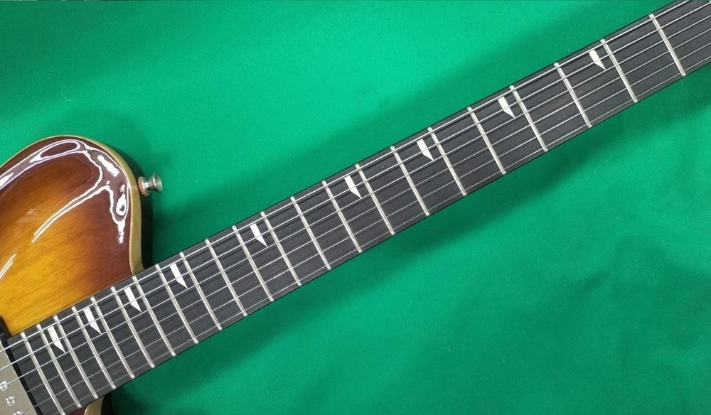 RYOGA CICADA-G2E Electric Guitar