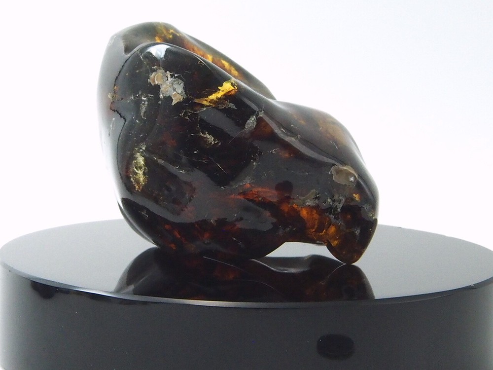 Fully Polished Mexican Amber 101.2 g