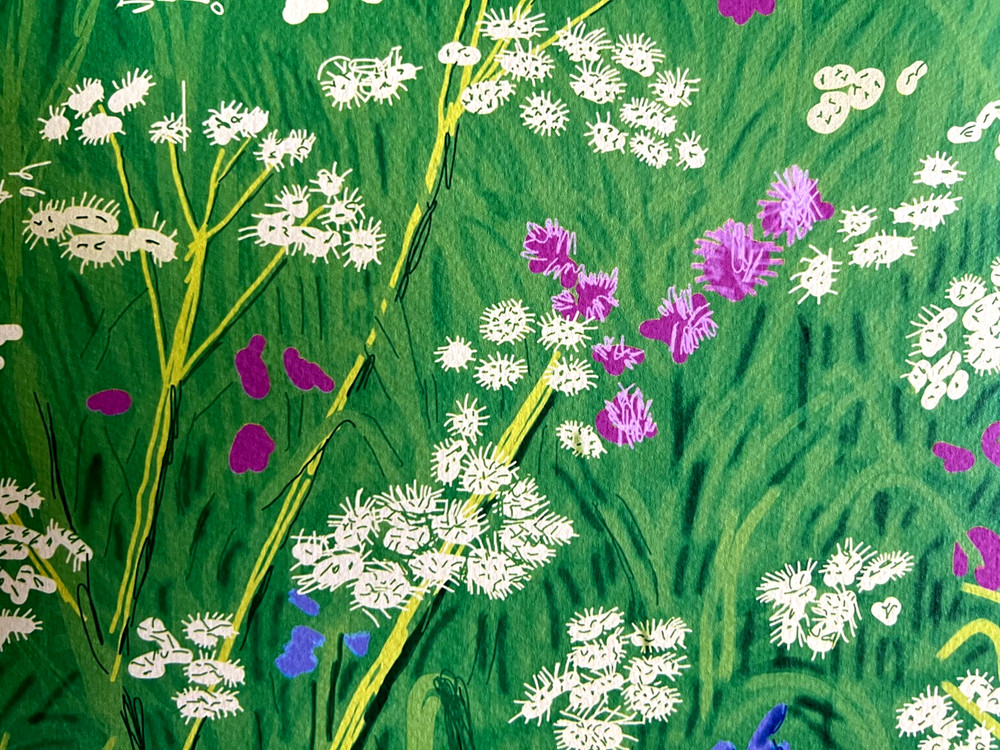 David Hockney Lithograph Handmade COA Signed Op Numbered Limited &