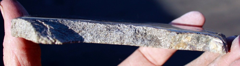 Dinosaur Gem Bone, Polished Slab, 153 g/5.4 oz.