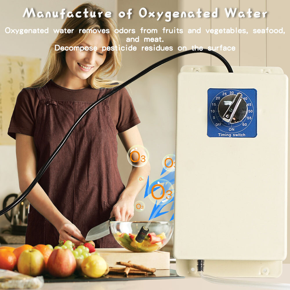 2000mg/h Ozone Generator Ozonator Air Purifier Water Food Vegetable Sterilizer