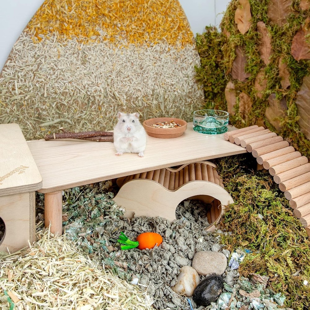 Durable 7'' Hamster Playground Platform for Gerbils, Mice & More - Easy Clean