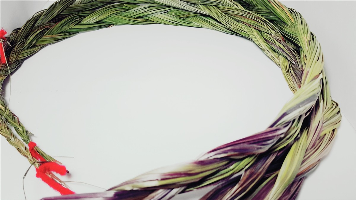 6 Large Sweetgrass Braids Hierochloe Odorata Smudge Handmade Sustainable Incence