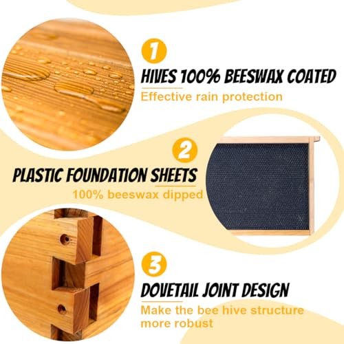 10-Frame Beehives Starter Kit – Complete Langstroth Hive with 1 Deep 2 Layers