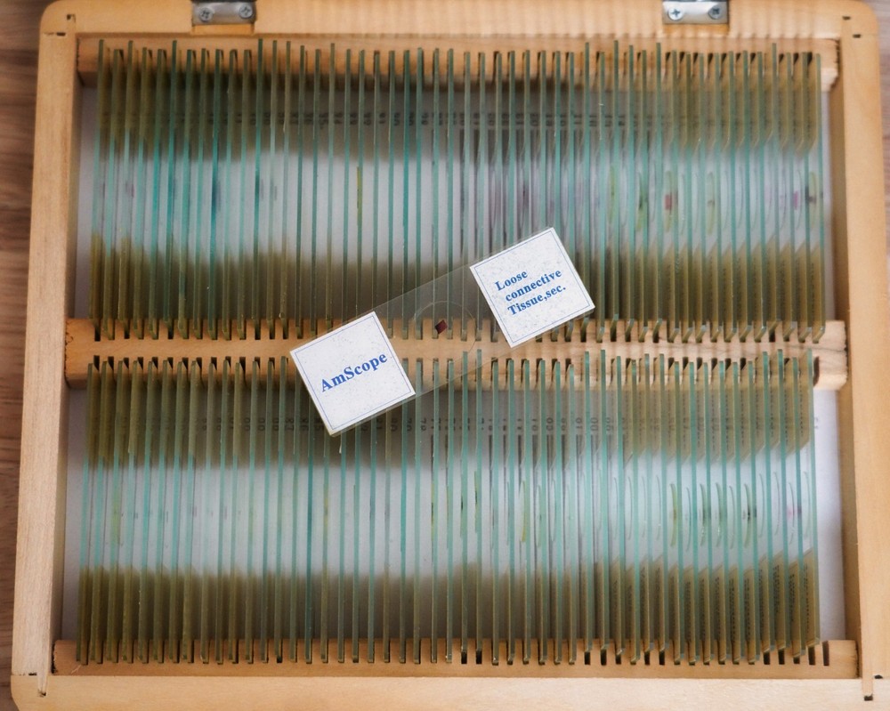 Unitron Phase MPB Microscope Kit – 100 Prepared Slides – Original Box