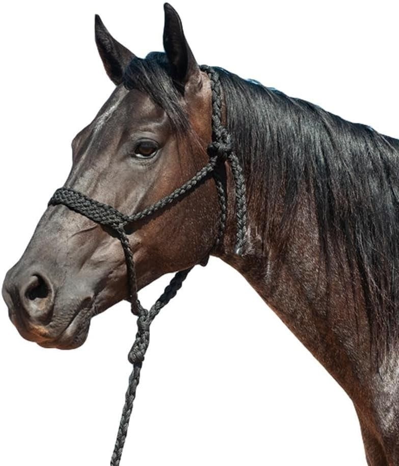 Luxurious Flat Braid Halter & Leadrope - UV Resistant, Soft & Durable in Black