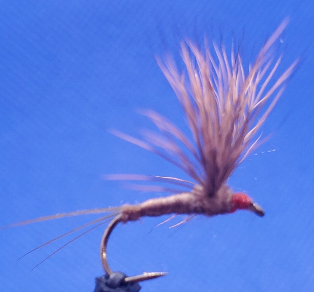 Hendrickson Comparadun Dry Fly, Comparadun, Hendrickson Compara Dun, Hendrickson