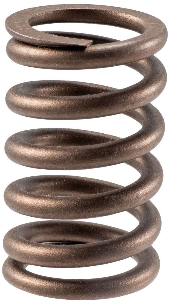 Engine Valve Spring-Stock Melling VS-490
