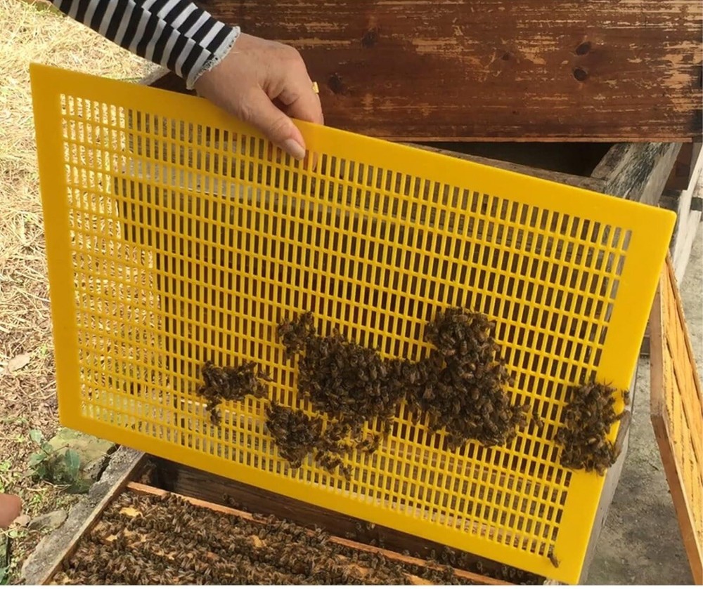 4 PCS Plastic Queen Excluder 10 Frame Queen Bee Excluder Langstroth Hives