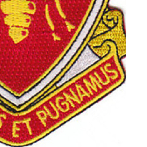 439th Engineering Battalion Patch