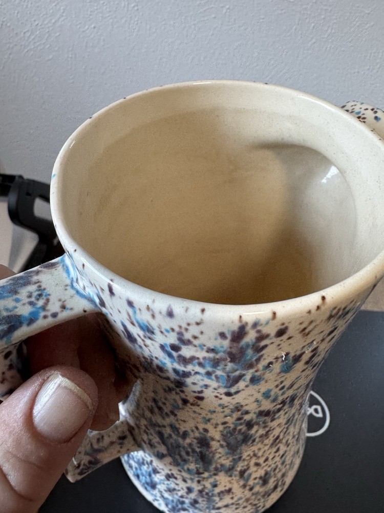 Vintage Speckled Pitcher Mid Mod?