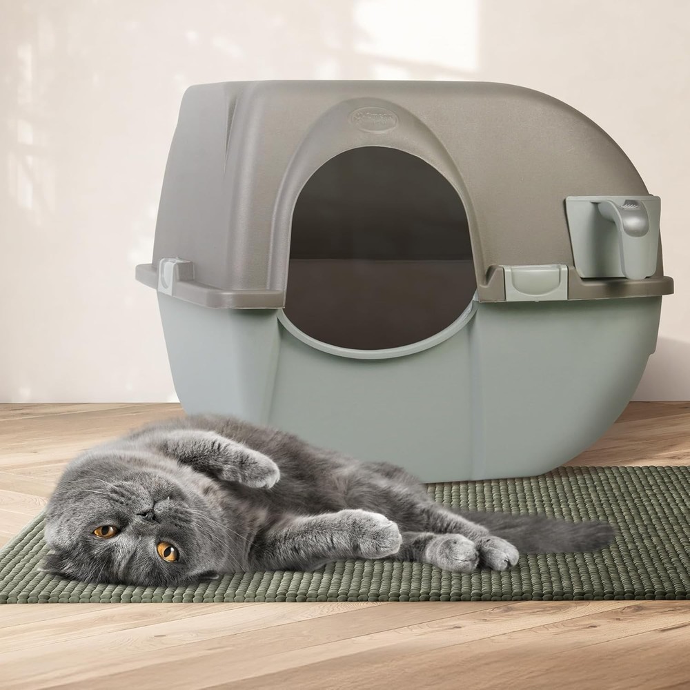 Self-Cleaning Litter Box Regular Grey - Patented Roll & Sift, No Scooping, Ea...