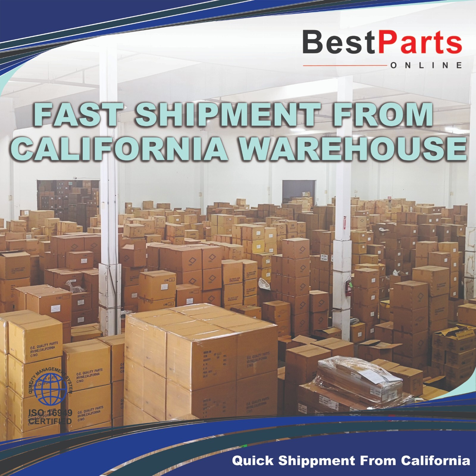 Heavy Duty Gear Seal Kit for SHEPPARD M100 with Bolt on Sector Shaft cover